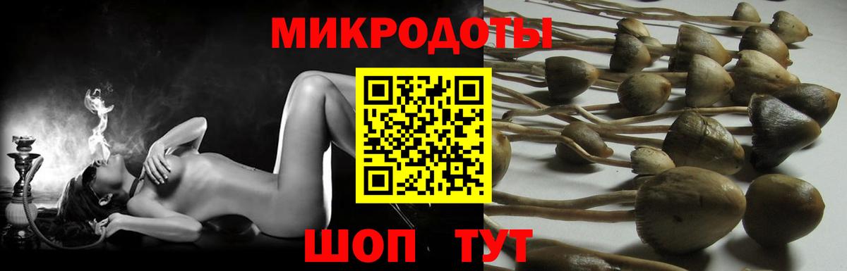 Галлюциногенные грибы мухоморы Прокопьевск